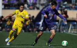 日本职业足球甲级联赛：东京FCvs鹿岛鹿角比分预测、赛事前瞻及实力对比分析