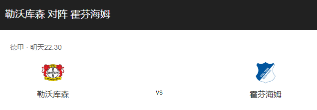 勒沃库森VS霍芬海姆比分预测、近期状态及双方实力解读！-图1