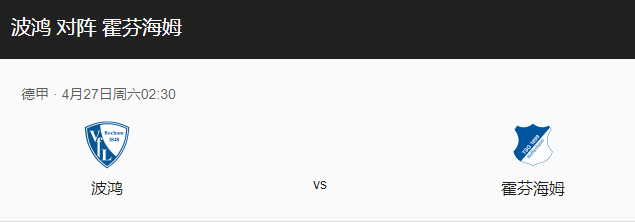 波鸿vs霍芬海姆比分预测，波鸿主场迎战霍芬海姆能否取得胜利？-图1