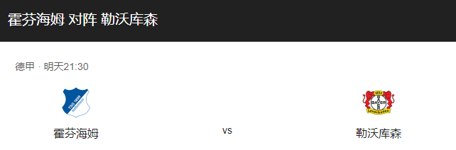 霍芬海姆VS勒沃库森比分预测、预计首发及战术布局详解！-图1